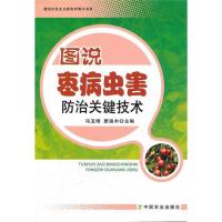 图说枣病虫害防治关键技术(建设社会主义新农村图示书系) 冯玉增 窦瑞木 著 专业科技 文轩网