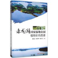 赤龙湖国家湿地公园植物彩色图谱 董元火,胡文中,廖廓 主编 著 专业科技 文轩网