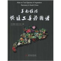 华南植被恢复工具种图谱(任海) 任海 等 著 专业科技 文轩网