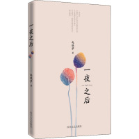 一夜之后 赵晓梦 著 文学 文轩网