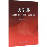 大宁县耕地地力评价与利用 杨宁龙,李立新 主编 著 专业科技 文轩网