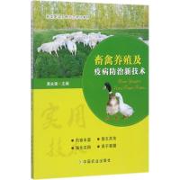 畜禽养殖及疫病防治新技术 黄永强 主编 著作 专业科技 文轩网
