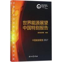 世界能源展望中国特别报告 国际能源署 编著 经管、励志 文轩网