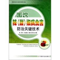 图说辣(甜)椒病虫害防治关键技术<建设社会主义新农村图示书系> 孙茜.王幼敏.潘文亮 著作 著 专业科技 文轩网