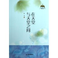 在天堂与天堂之间 张夷 著作 文学 文轩网