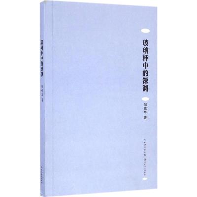 玻璃杯中的深渊 邹伟华 著 文学 文轩网