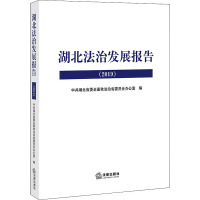 湖北法治发展报告(2019) 中共湖北省委全面依法治省委员会办公室 编 社科 文轩网