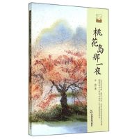 桃花岛那一夜 光盘 著 文学 文轩网