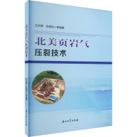 北美页岩气压裂技术 王永辉,车明光 等 编 专业科技 文轩网