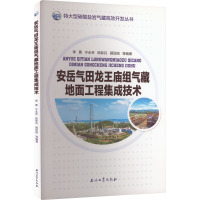 安岳气田龙王庙组气藏地面工程集成技术 李勇 等 编 专业科技 文轩网