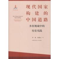 现代国家构建的中国道路 乡村视域中的历史实践 李斌,张德元 著 社科 文轩网