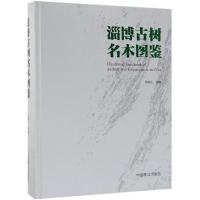 淄博古树名木图鉴精 编者:祁连山 著 专业科技 文轩网