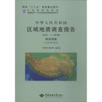 中华人民共和国区域地质调查报告 王永胜 著 专业科技 文轩网