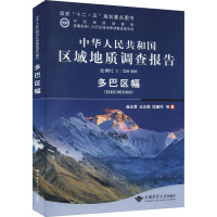 中华人民共和国区域地质调查报告 多巴区幅(H45C001004) 比例尺1:250000 