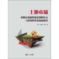 土地市场对地方政府性债务风险压力与系统性传染效应研究 何芳,滕秀秀,陈熙 著 经管、励志 文轩网