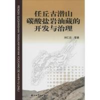 任丘古潜山碳酸盐岩油藏的开发与治理 刘仁达 著作 专业科技 文轩网