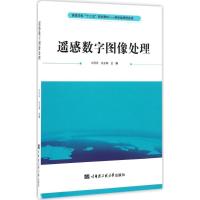 遥感数字图像处理 刘丹丹,张玉娟 主编 专业科技 文轩网