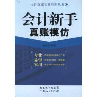 会计新手真账模仿 杨红岩 著作 经管、励志 文轩网