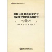 制度环境对创新型企业创新绩效的影响机制研究 任雪娇 等 著 专业科技 文轩网