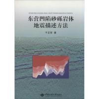 东营凹陷砂砾岩体地震描述方法 于正军 著作 专业科技 文轩网