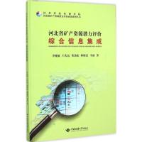 河北省矿产资源潜力评价综合信息集成专题研究 李晓敏 等 著 著 专业科技 文轩网