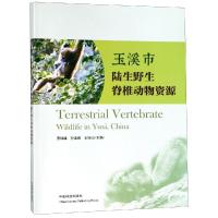 玉溪市陆生野生脊椎动物资源 罗伟雄 著 专业科技 文轩网