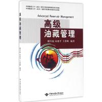 高级油藏管理 谢丛姣,向祖平,王洪峰 编著 著作 专业科技 文轩网