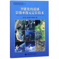 智能化的遥感影像亚像元定位技术 吴柯 著 著 专业科技 文轩网