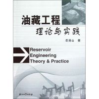 油藏工程理论与实践 岳清山 著作 专业科技 文轩网