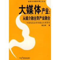 大媒体产业 傅玉辉 著 著 经管、励志 文轩网