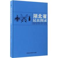 湖北省昆虫图录 茅晓渊 等 主编 专业科技 文轩网