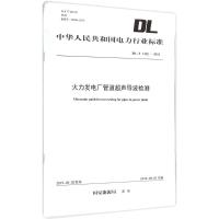 火力发电厂管道超声导波检测 国家能源局 发布 著作 专业科技 文轩网