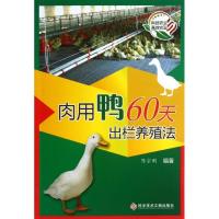 肉用鸭60天出栏养殖法 杨宝山 等 专业科技 文轩网