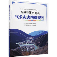 西藏林芝市朗县气象灾害防御规划 西藏林芝市朗县人民政府,西藏林芝市朗县气象局 编 专业科技 文轩网