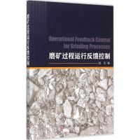 磨矿过程运行反馈控制 周平 著 著 专业科技 文轩网