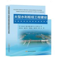 大型水利枢纽工程建设智慧监督系统研发与实践 朱长富 等 著 专业科技 文轩网