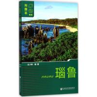 瑙鲁 赵少峰 编著 经管、励志 文轩网