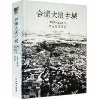 合浦大浪古城 2019~2021年考古发掘报告 