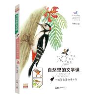 自然里的文学课:不怕脑震荡的啄木鸟 何腾江 著 少儿 文轩网