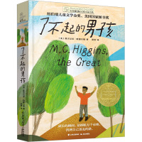 了不起的男孩 (美)维吉尼亚·哈密尔顿 著 张勇 译 少儿 文轩网