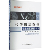 化学镀法改性吸波纤维及粉体材料 李茸 等 著 生活 文轩网