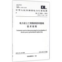 电力岩土工程勘测资料整编技术规程 国家能源局 发布 专业科技 文轩网