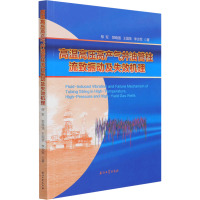 高温高压高产气井油管柱流致振动及失效机理 柳军 等 著 专业科技 文轩网