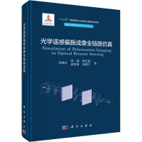 光学遥感偏振成像全链路仿真 孙晓兵 等 著 专业科技 文轩网