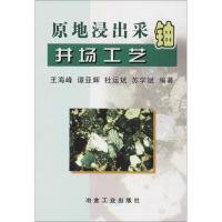 原地浸出采铀井场工艺 王海峰 等 编著 专业科技 文轩网