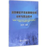 深部硬岩开采岩爆倾向性分析与防治技术 苗胜军 编著 专业科技 文轩网