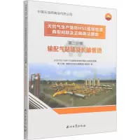 天然气生产场所HSE监督检查典型问题及正确做法图集 第2分册 输配气站场及长输管道 