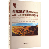 准噶尔盆地玛湖凹陷二叠-三叠系砂砾岩储层微观特征 靳军 等 著 专业科技 文轩网