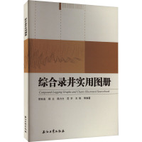 综合录井实用图册 郑有成 等 编 专业科技 文轩网