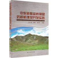 中东碳酸盐岩储层沉积机理及开发实践 李勇 等 著 专业科技 文轩网